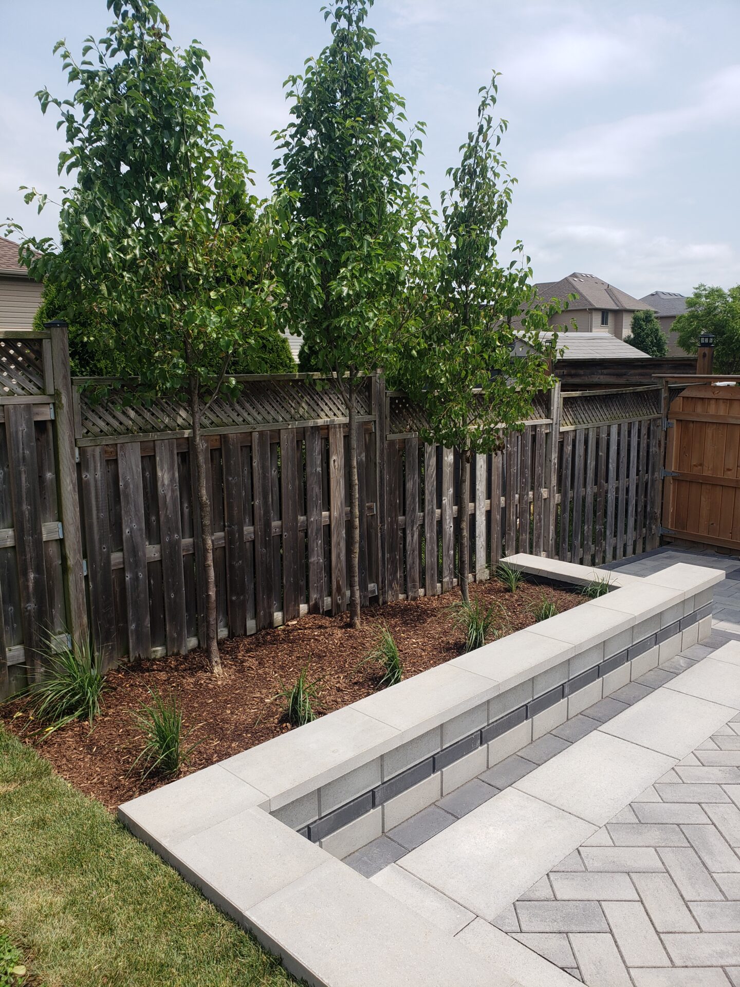A backyard features a wooden fence, young trees, a stone bench, and a paved patio. Suburban houses are visible in the background.