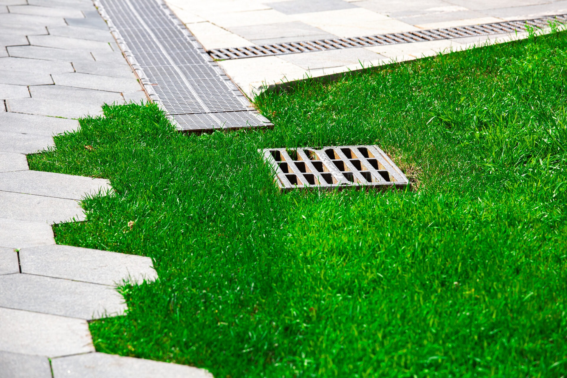 Lush green grass meets hexagonal pavers, with a metal drainage grate and linear drain, creating a neat, urban landscape intersection.