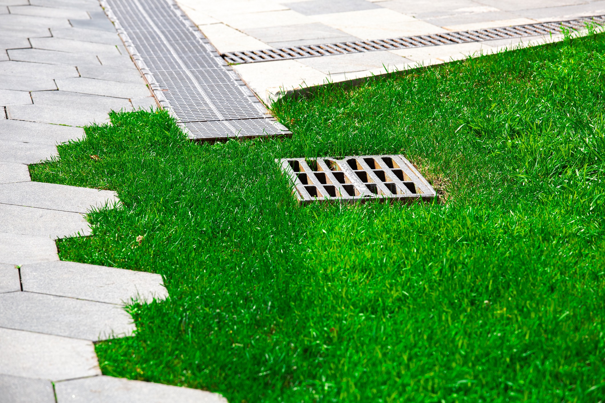 Lush green grass meets hexagonal pavers, with a metal drainage grate and linear drain, creating a neat, urban landscape intersection.