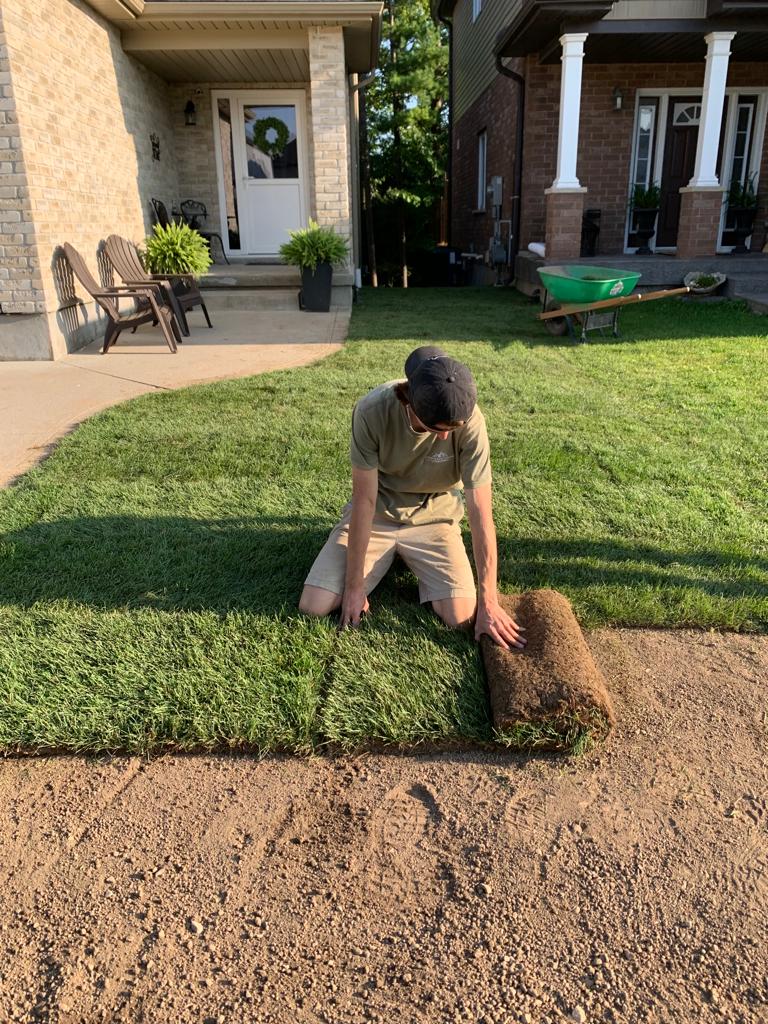 A person is laying sod on a dirt yard between two brick houses, with a green wheelbarrow and patio chairs nearby.