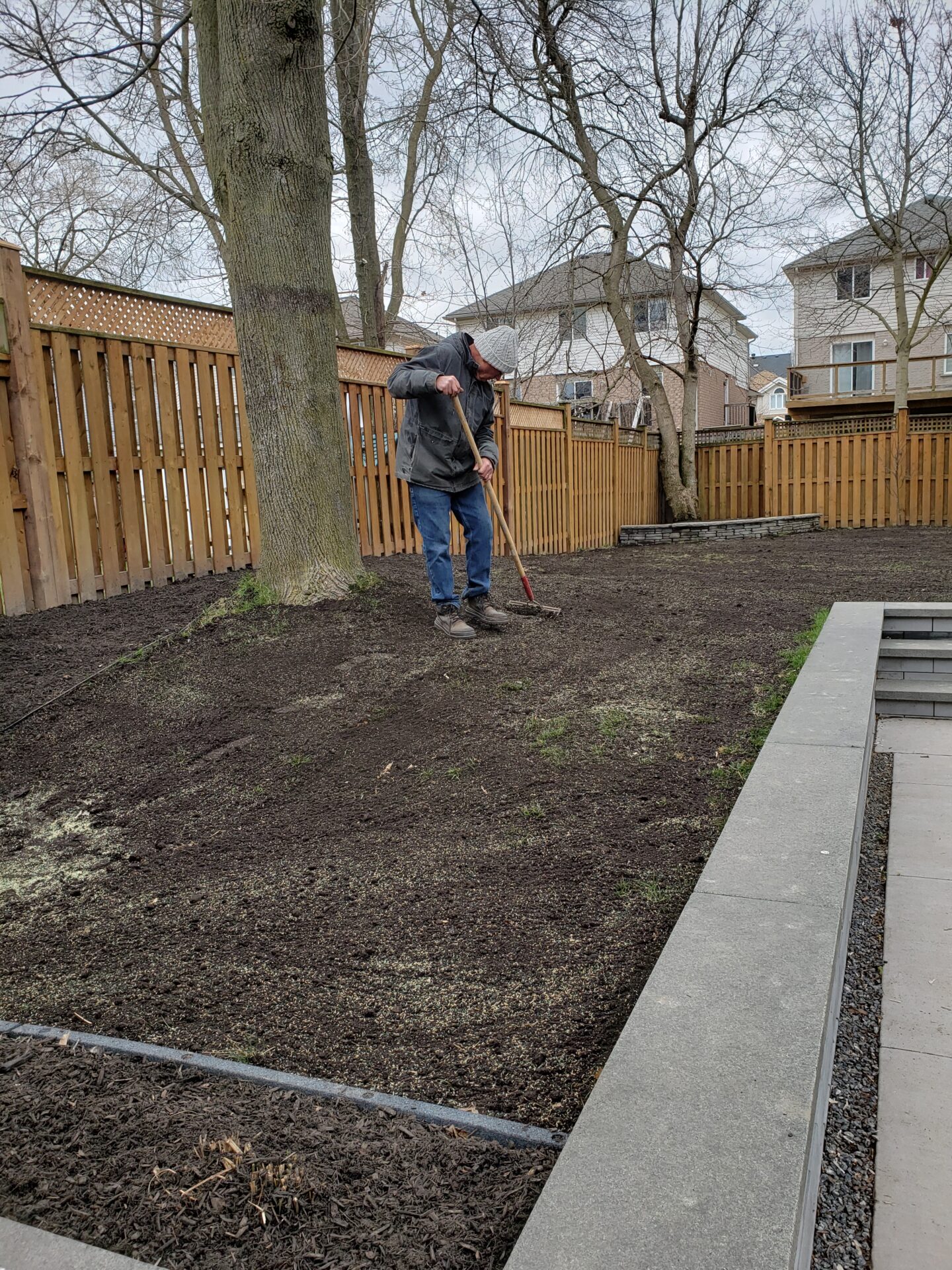 A person in a gray jacket rakes soil in a fenced backyard with bare trees and suburban houses in the background.