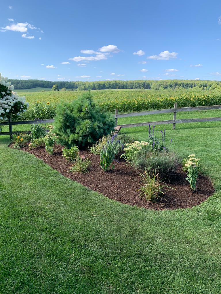 A landscaped garden with various plants, lush green grass, and a wooden fence, set against a backdrop of expansive fields and a blue sky.