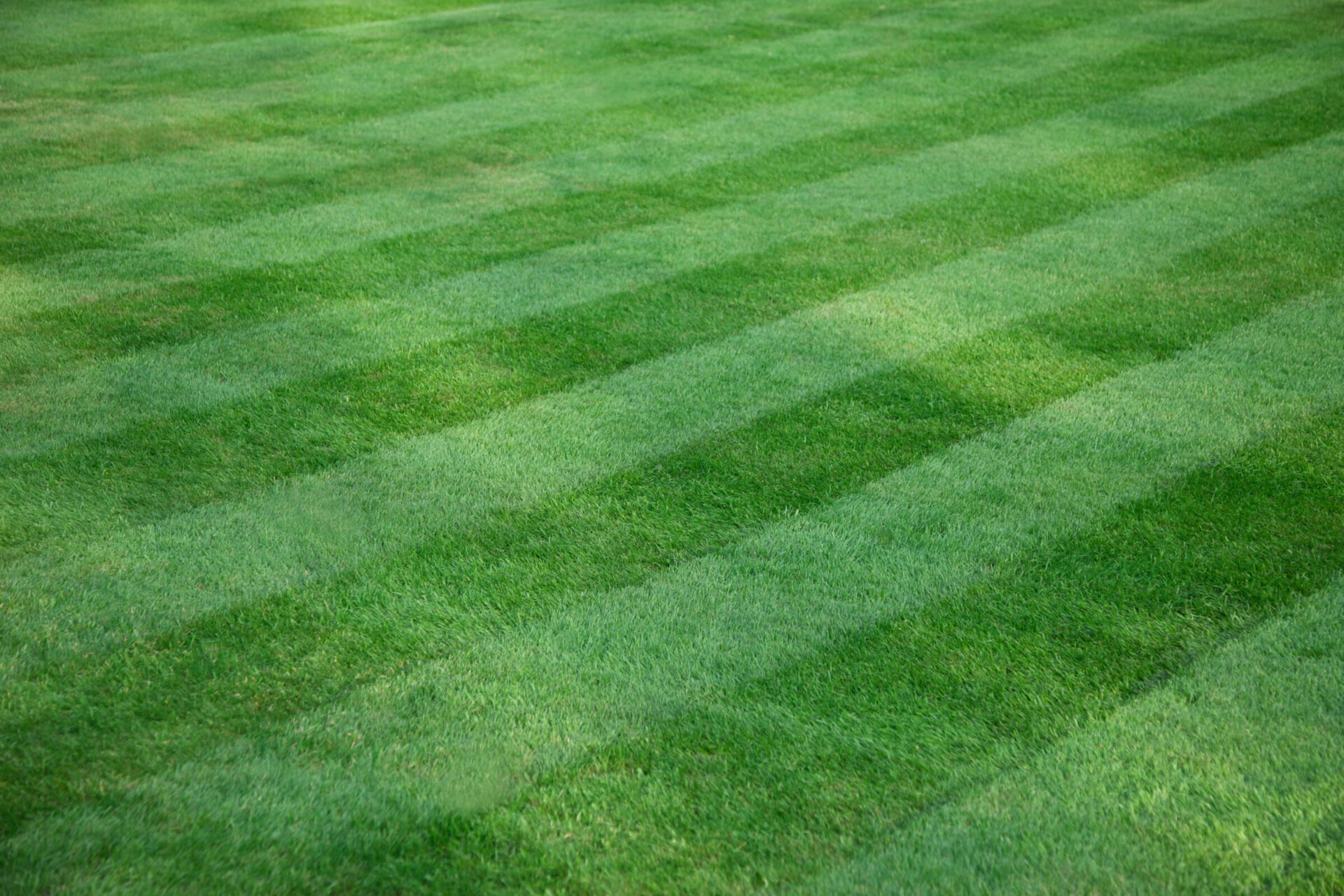 A neatly manicured lawn with alternating stripes of light and dark green grass, creating a visually pleasing pattern.