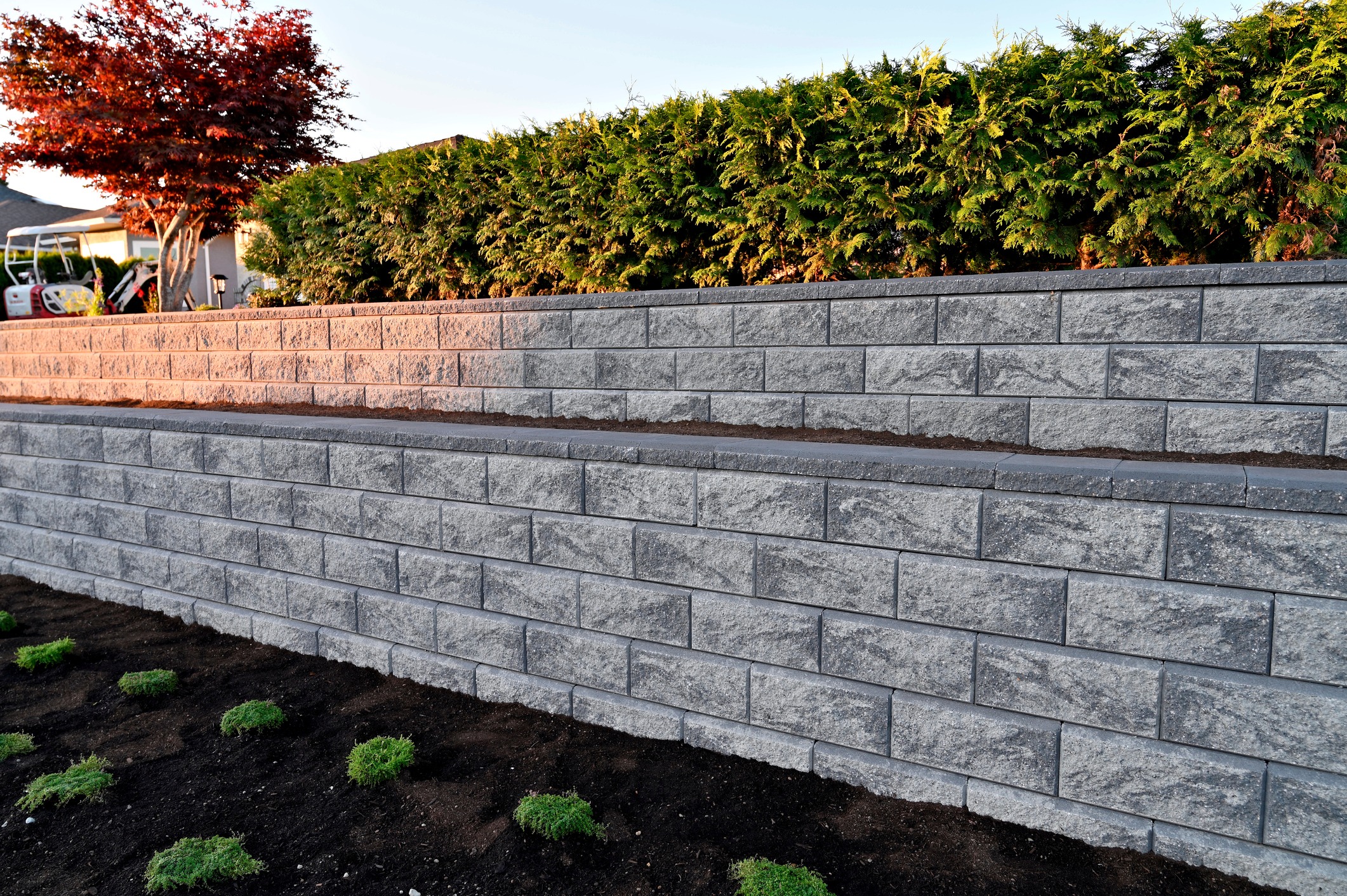Terraced stone retaining walls with lush greenery and a red tree in the evening light, bordered by small plants and soil below.