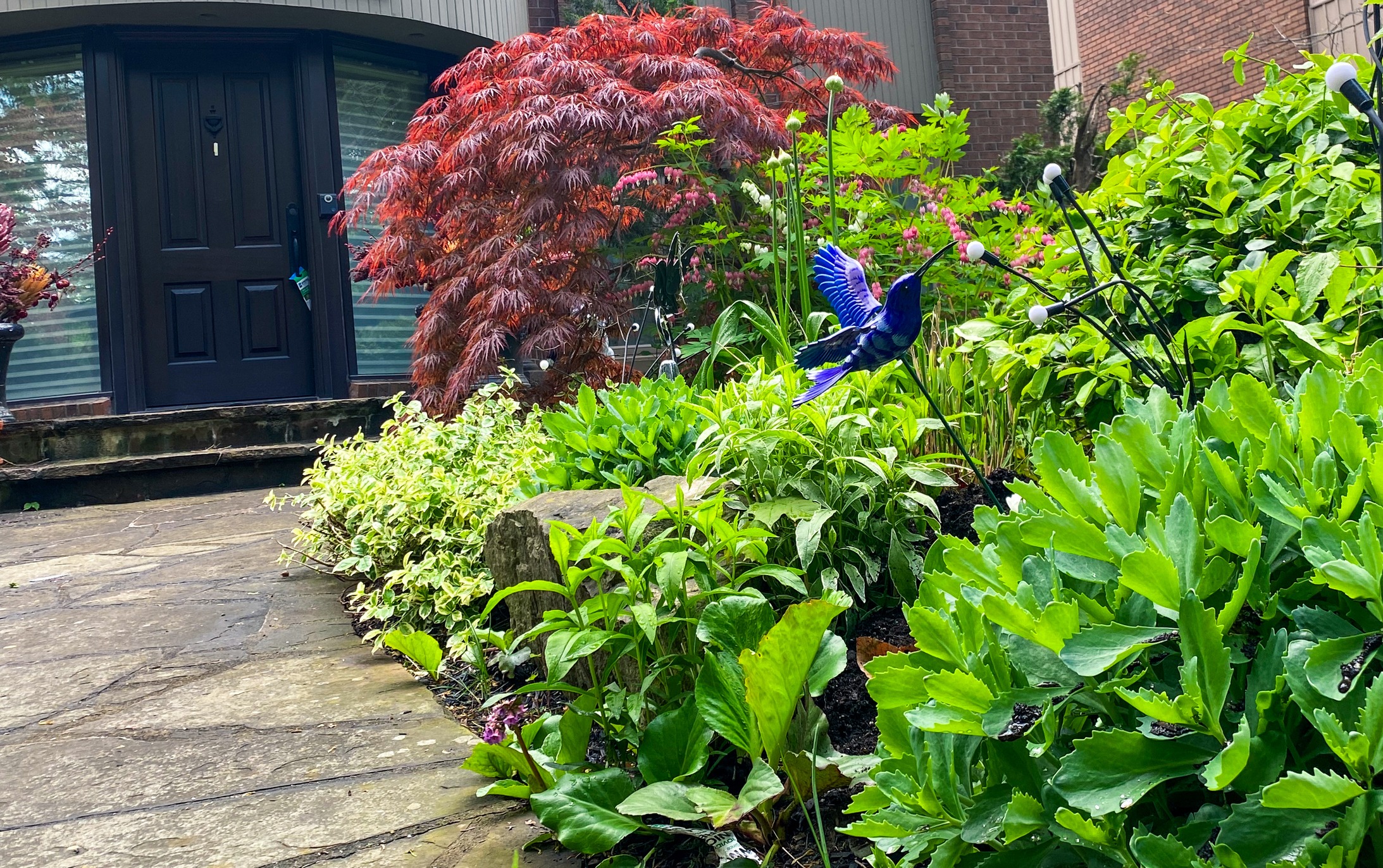 A colorful garden features vibrant plants, a blue decorative bird, and a dark door framed by a red Japanese maple tree.