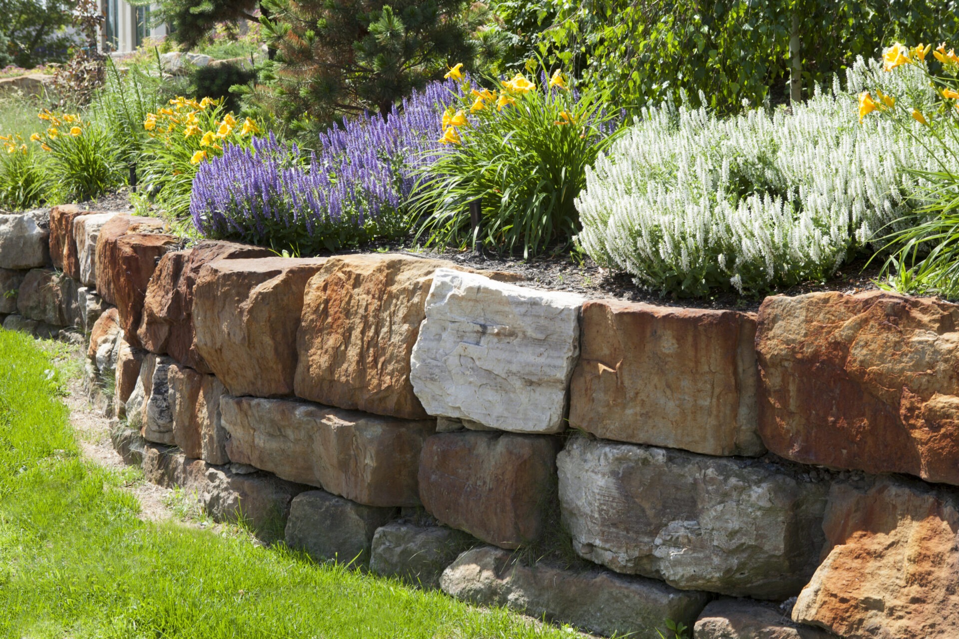 A garden features a stacked stone wall with lush green grass and vibrant purple, yellow, and white flowers on top.