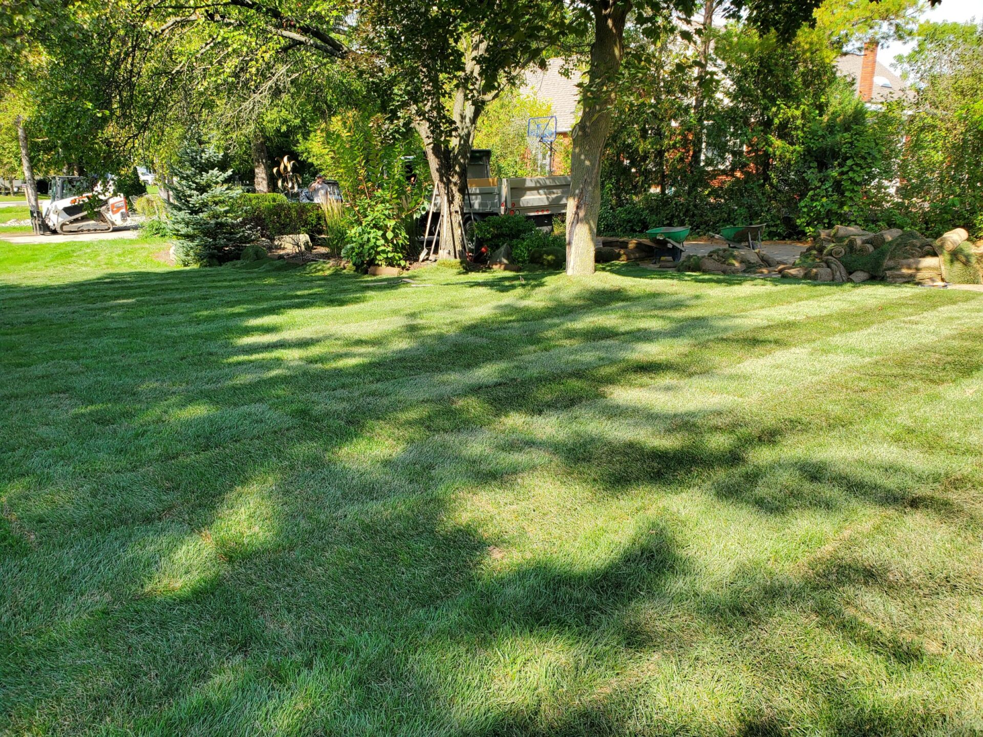 A freshly landscaped lawn with lush green grass, trees, and landscaping equipment, under a sunny sky in a residential neighborhood.