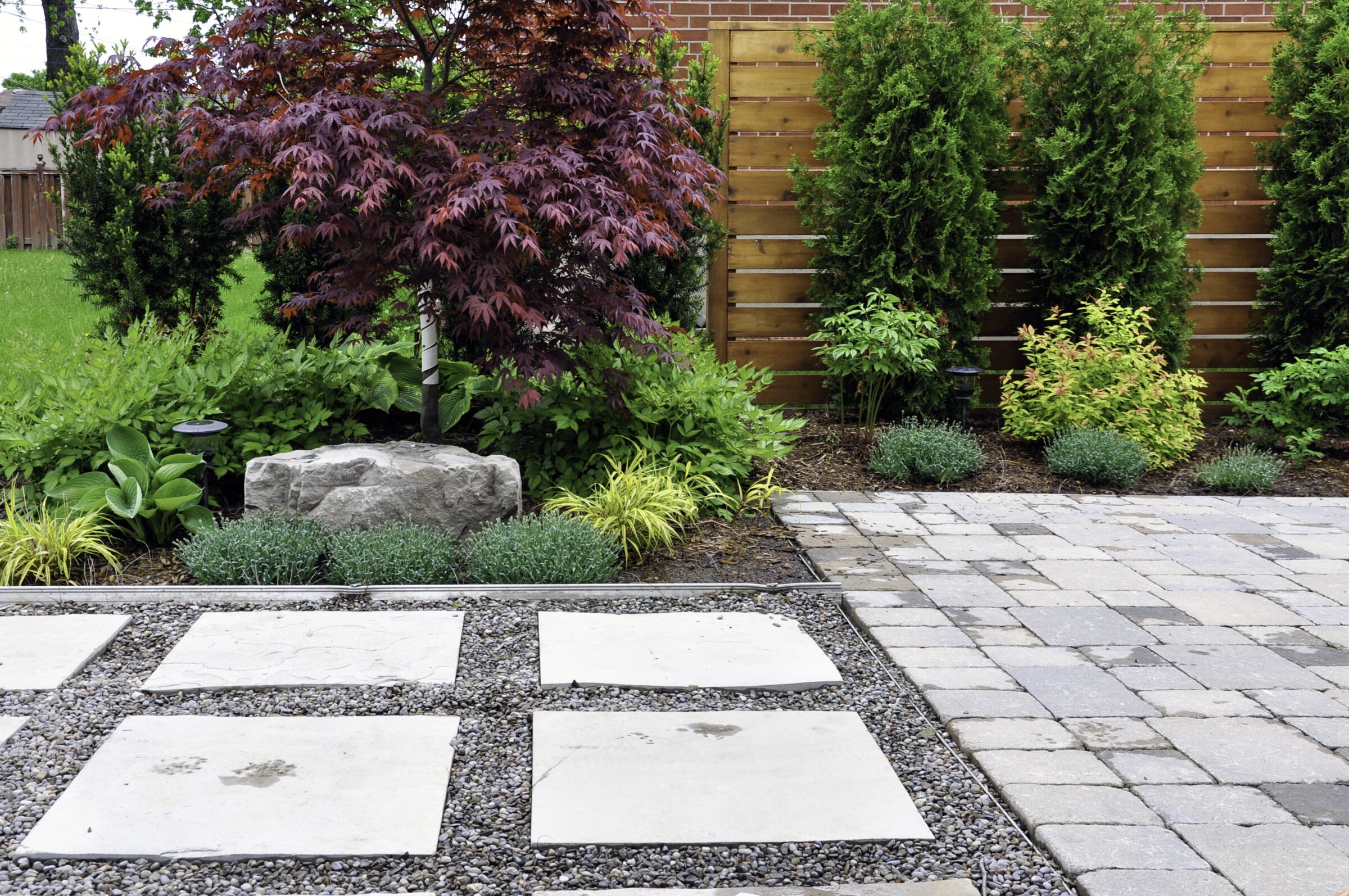 A garden with various plants, a Japanese maple tree, stone pavers, and a wooden fence in the background, creating a serene space.