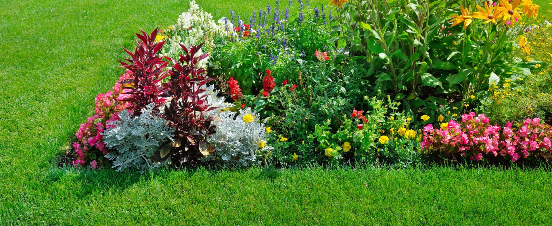 A vibrant, well-maintained garden with diverse, colorful flowers and green foliage, bordered by lush grass, under bright sunlight.