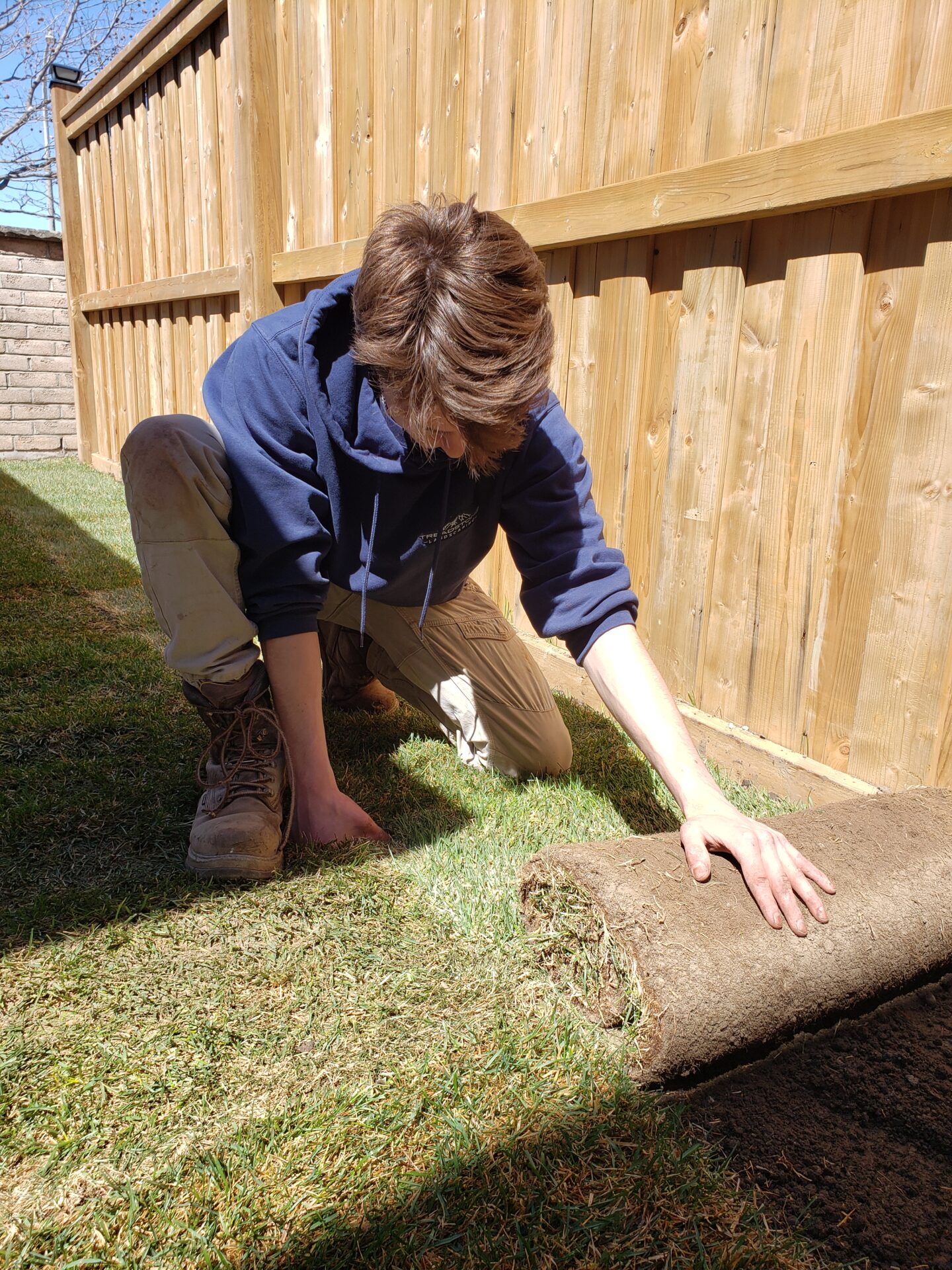 A person in a blue hoodie and boots is laying sod beside a wooden fence in a sunlit backyard.