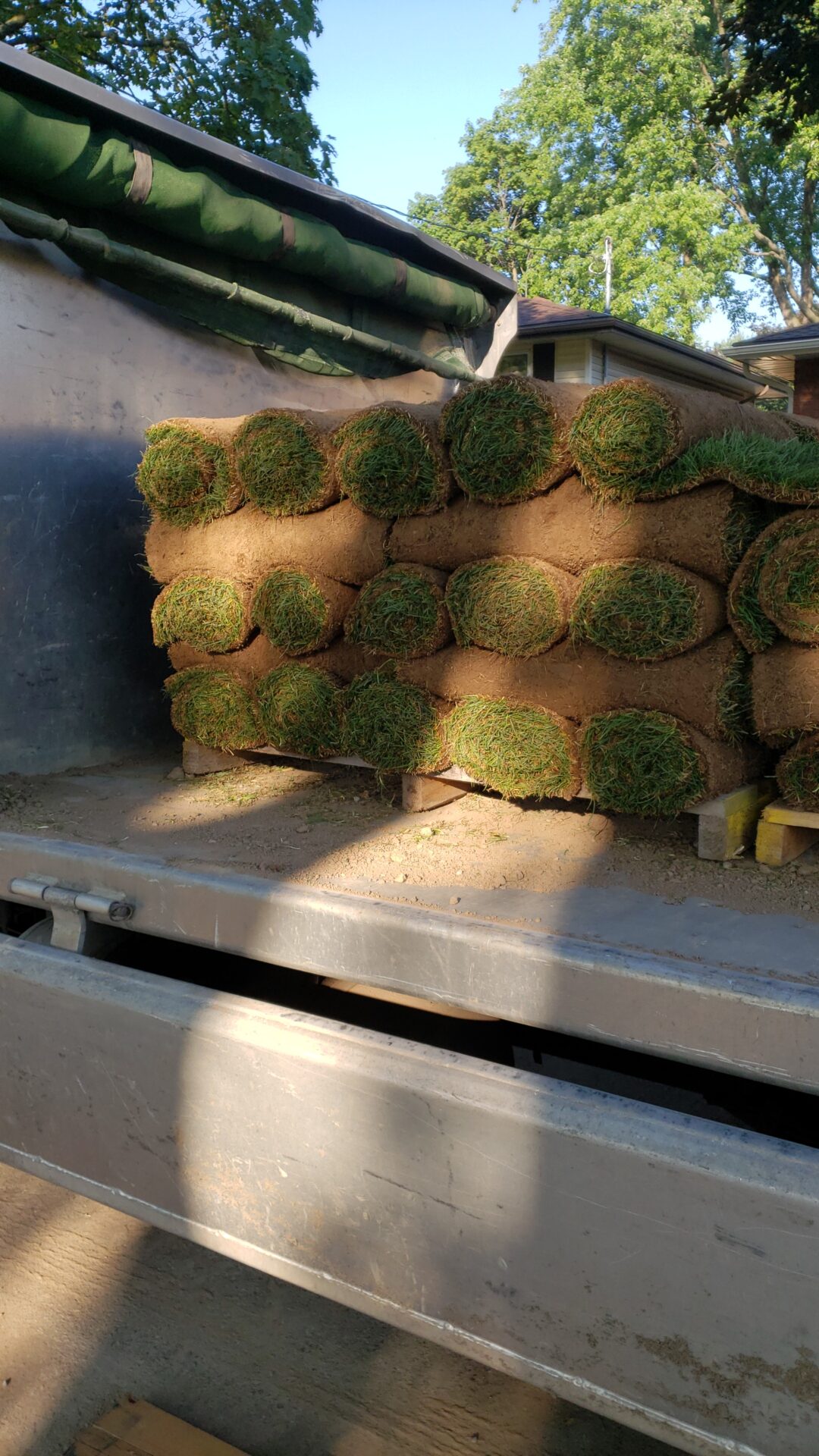 Rolled sod stacked on a flatbed trailer, ready for landscaping. Sunlight casts shadows; trees and houses visible in the background.