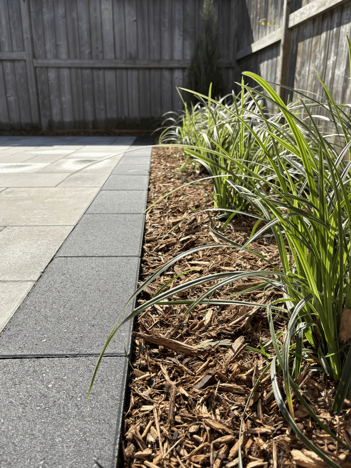 A backyard with neatly arranged pavers, mulch, and green plants next to a wooden fence, bathed in sunlight.
